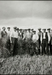 Anonyme: Grve des paysans, 1936
