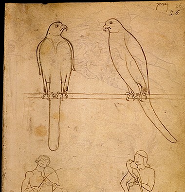 Détail du folio 51