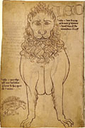 Folio 48 - Lion et porc-pic.