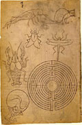 Folio 14 - Planche naturaliste - Labyrinthe