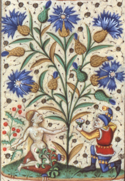la femme fleur
