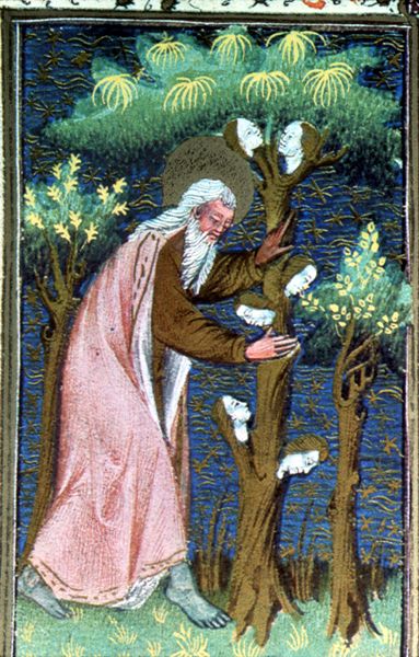 L'arbre de vie