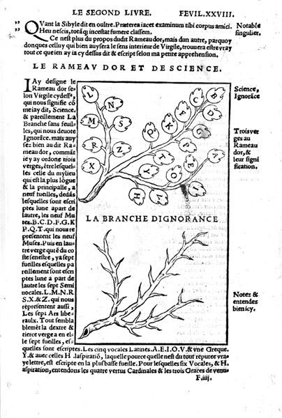 Le rameau d'or et la branche d'ignorance.